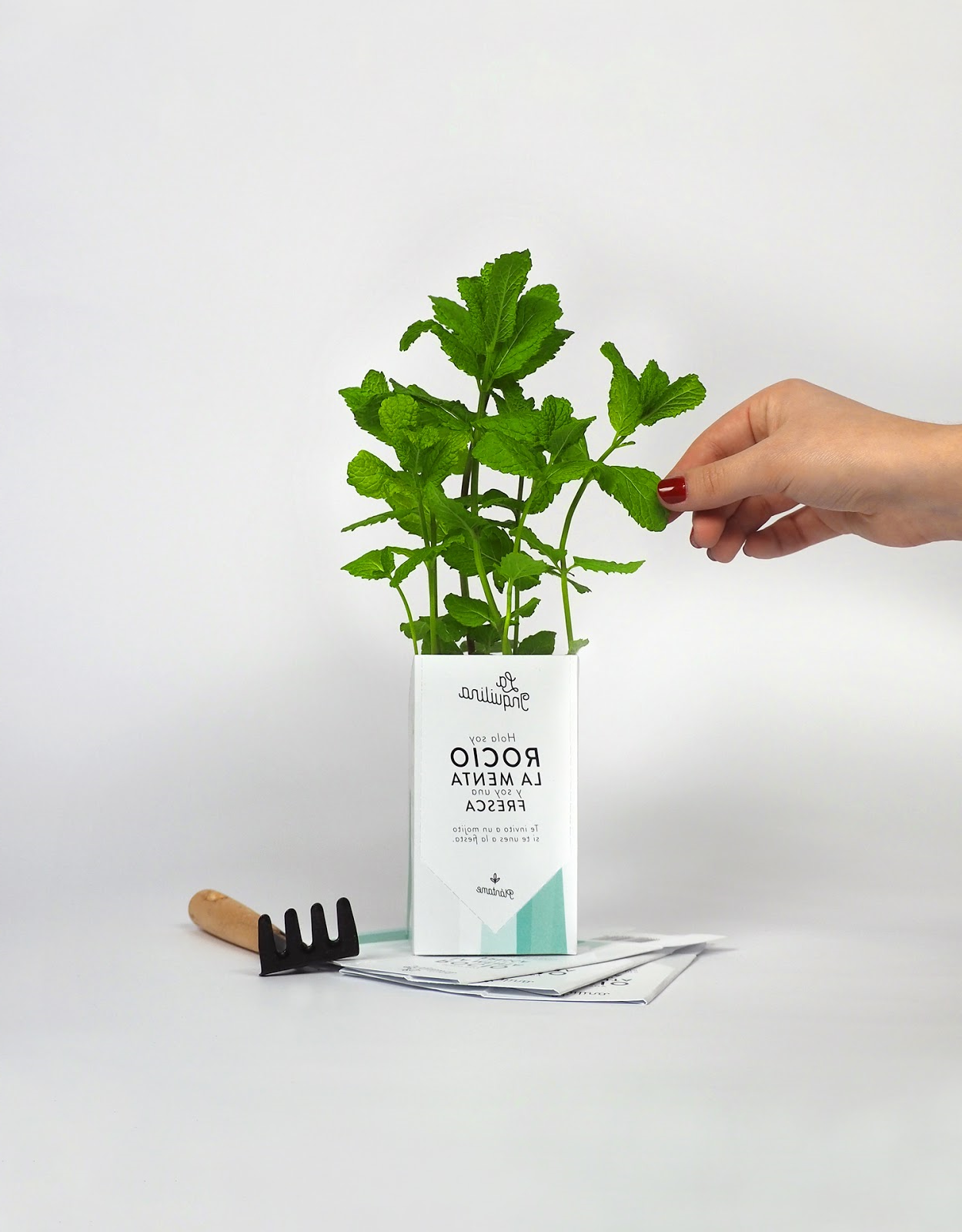 植物盆栽的包装设计让消费者和产品互动起来(图2)