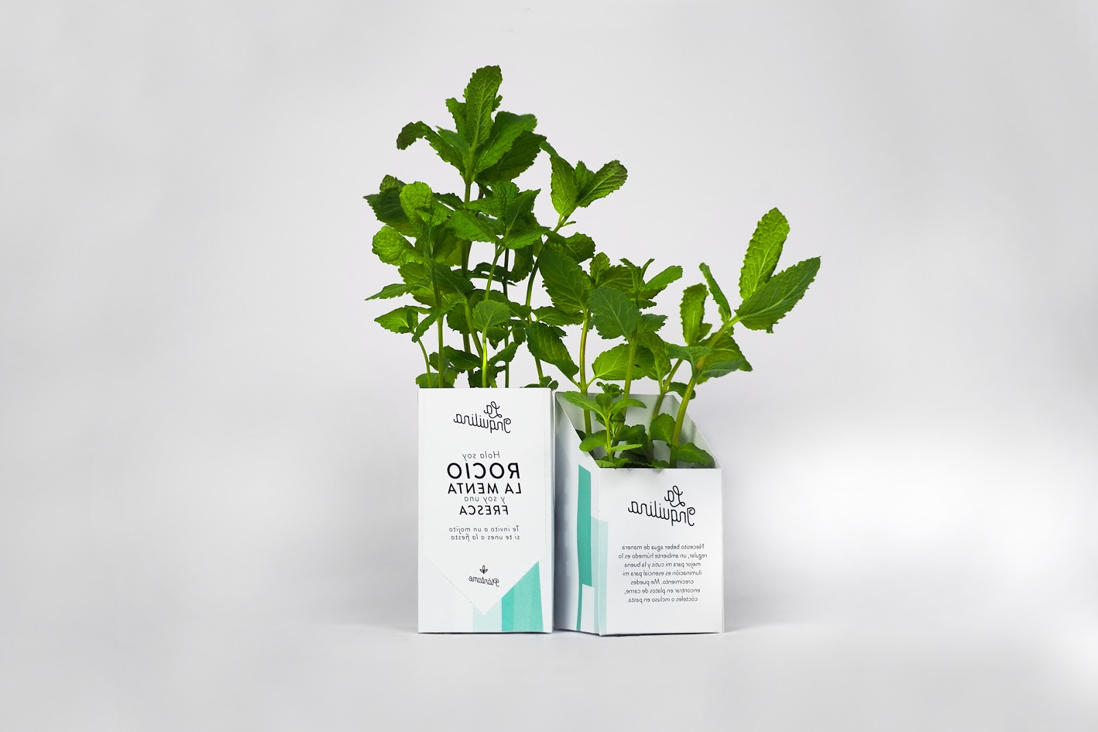 植物盆栽的包装设计让消费者和产品互动起来(图3)