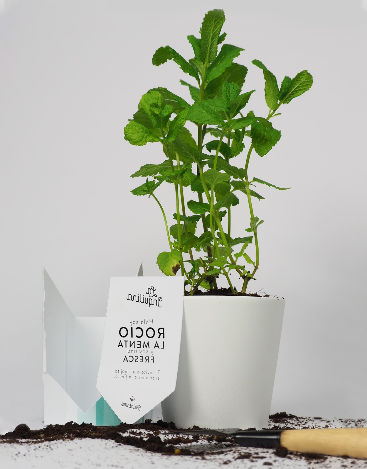 植物盆栽的包装设计让消费者和产品互动起来(图10)