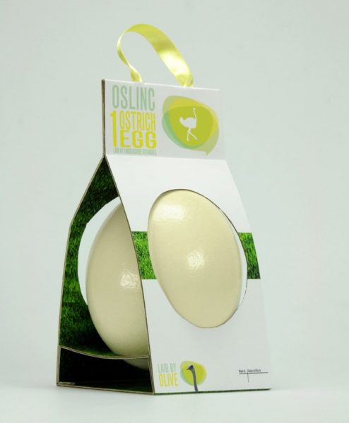 创意蛋包装设计 - 如何包装鸡蛋(图22)