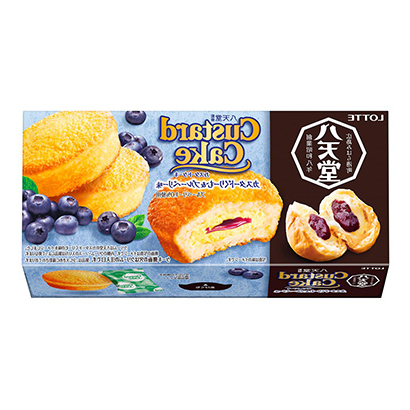 蓝莓奶油蛋糕包装设计(图1)